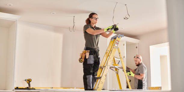 Best Residential Electrician Services  in Lincoln Park, MI
